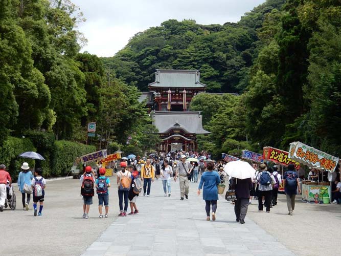 水野外語学院 6月24日鎌倉八幡宮・高徳院